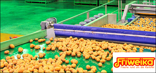 Friweika eG Kartoffelproduktion