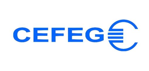 CEFEG GmbH